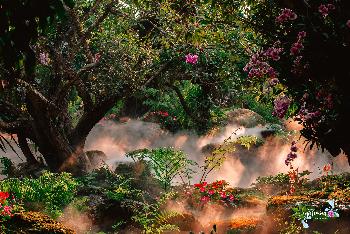 Mrchenhafter Dschungelpark - Pictures by Lalitta Caf - Bild 4