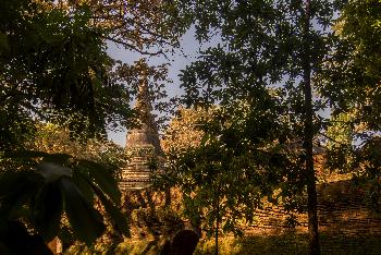 Waldtempel Wat Umong - Bild 3 - mit freundlicher Genehmigung von Depositphotos 