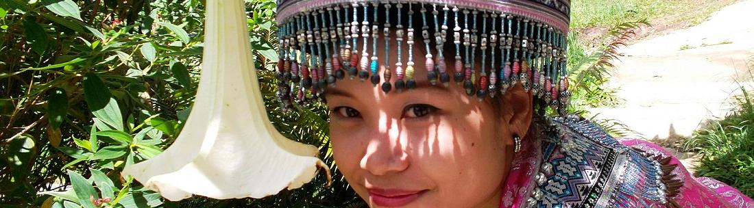 Reiseinformationen - Chiang Mai Thailand