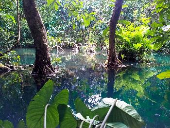 Bild Thailands eindrucksvolle und exotische Nationalparks