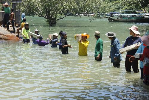 Bangkok bereitet sich auf berschwemmungen vor - Reisenews Thailand - Bild 1