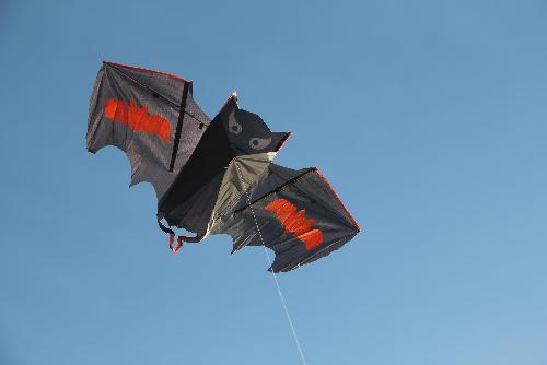 Coloring the Sky Kite Festival - Veranstaltungen - Bild 2