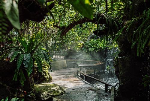 Geheimtipp Bangkok - Atemberaubendes Dschungelcaf - Thailand Blog - Bild 3