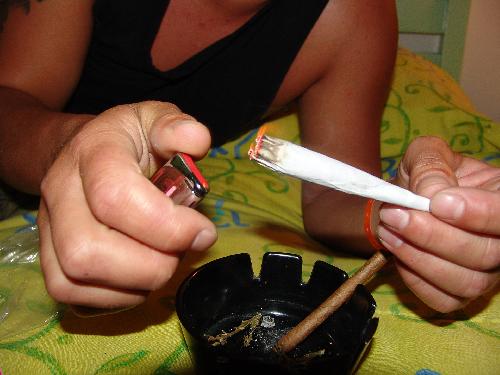 Hhere THC Mengen in Cannabis nicht illegal  - Reisenews Thailand - Bild 1