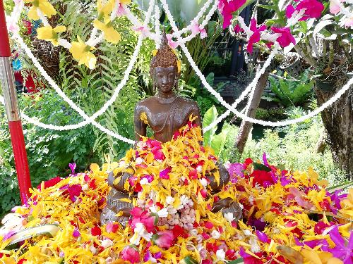 Songkran in Pattaya - wo, wie und wann du feiern kannst - Reisenews Thailand - Bild 2