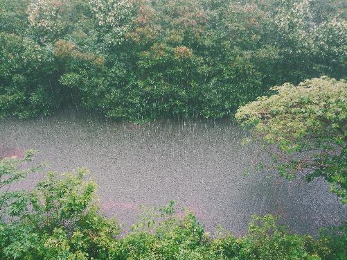 Unwetter, Strme und starke Regenflle am Wochenende - Reisenews Thailand - Bild 2