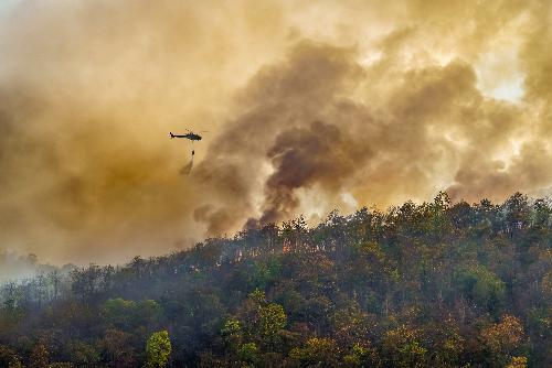 Waldbrnde in Thailand - das jhrliche Dilemma ist zurck - Reisenews Thailand - Bild 1