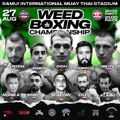Weed Boxing Championship von Mike Tyson auf Samui - Reisenews Thailand - Bild 2