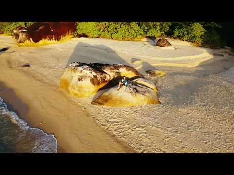 Adang Island Resort - Krabi Video