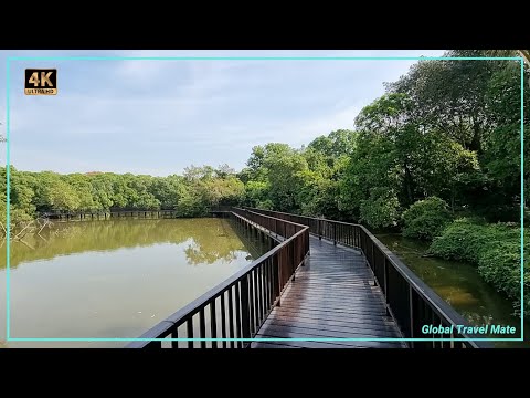 Green Lung Bang Krachao Day Trip - Bangkok Video