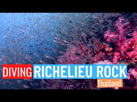 Start Video Richelieu Rock - Famous dive site in Thailand 