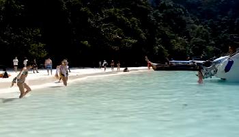 Monkey Beach oder Yong Kasem Beach PhiPhi Island - Krabi Video
