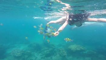 Start Video Schnorcheln um PhiPhi Islands Tauchen + Schnorcheln