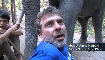 Bodo Frster - Elephant Special Tours - Chiang Mai Video