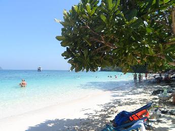 Einen Tagesausflug wert - die Insel Coral Island (Koh Hae) Bild1