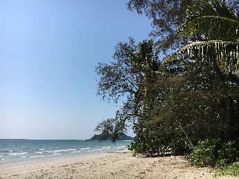 Mit Kokospalmen bewachsenes Inselidyll Koh Maak (Ko Mak) Bild1