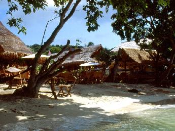 PhiPhi Islands, weisser Sand, türkises Wasser Bild1
