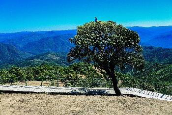 Zoom Doi Pui Village Provinz Chiang Mai Bild 1