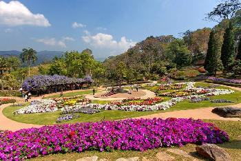 Chiang Rai - Attraktionen - Bild 4