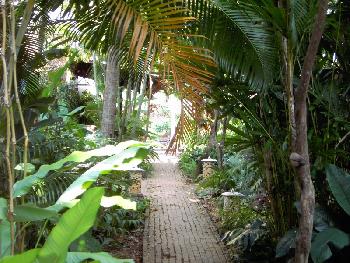 Am Khao Sok River - Bild 9