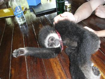 Am Khao Sok River - Bild 11