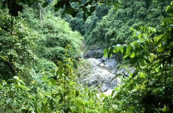 Auf den Bergen in Thailands Norden - Bild 7