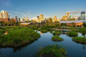 Bangkok wunderbare Seiten - Bild 6 - mit freundlicher Genehmigung von Depositphotos 