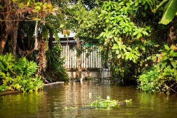 Bangkoks Klongs - Bild 8 - mit freundlicher Genehmigung von Depositphotos 