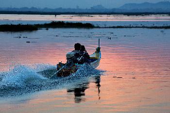Bueng Boraphet Nakhon Sawan - Bilder von Gerhard Veer - Bild 8 - mit freundlicher Genehmigung von Depositphotos 