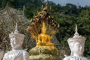 Chiang Dao - Fotos von Gerhard Veer - Bild 14 - mit freundlicher Genehmigung von Veer 