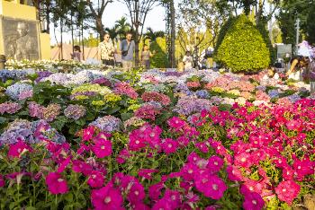 Chiang Mai Flower Festival - Bild 8 - mit freundlicher Genehmigung von Depositphotos