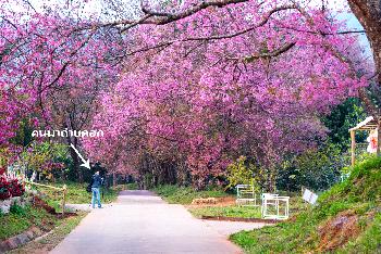 Chiang Mai - normalerweise ein Traum - Bild 4 - mit freundlicher Genehmigung von Depositphotos 