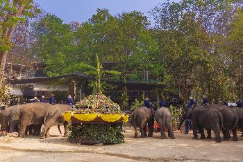 Der thail�ndische Elefantentag - Bild 3 - mit freundlicher Genehmigung von Depositphotos 