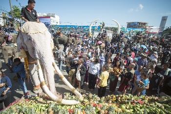 Der thail�ndische Elefantentag - Bild 6 - mit freundlicher Genehmigung von Depositphotos 