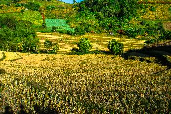 Die Berge um Mae Hong Son - Bild 6 - mit freundlicher Genehmigung von Depositphotos 