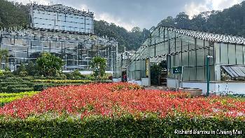 Die botanischen Grten der Knigsmutter von Richard Barrow - Bild 5