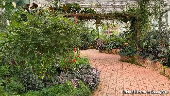Die botanischen Grten der Knigsmutter von Richard Barrow - Bild 19 - mit freundlicher Genehmigung von Richard Barrow 