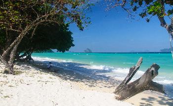 Koh Kradan - Die Inseln vor der Kste Trangs - Bild 10