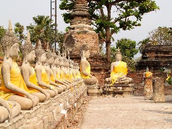 Zoom Die Tempel von Ayutthaya - Bild 4