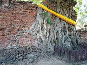 Zoom Die Tempel von Ayutthaya - Bild 10