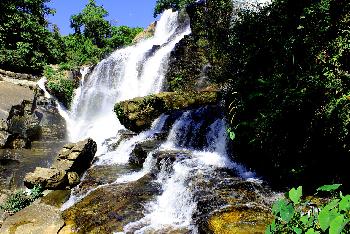 Doi Ithanon Nationalpark - Tropischer Bergdschungel - Bild 1
