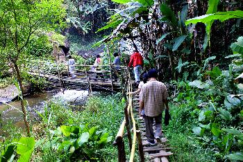 Doi Ithanon Nationalpark - Tropischer Bergdschungel - Bild 2