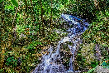 Doi Ithanon Nationalpark - Tropischer Bergdschungel - Bild 4