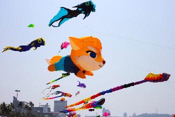 Drachenfestival: Pattaya Kite On The Beach - Bild 3 - mit freundlicher Genehmigung von  