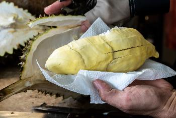 Durian, die Zibetfrucht - Bild 3 - mit freundlicher Genehmigung von Depositphotos 