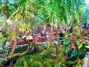 Einzigartiges Ambiente - Bild 1