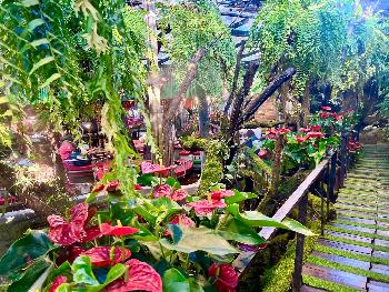 Einzigartiges Ambiente - Bild 6