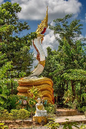 Farbenfrohe Nagas von Gerhard Veer Bild 1 -  - mit freundlicher Genehmigung von Veer 