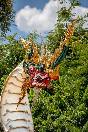 Farbenfrohe Nagas von Gerhard Veer Bild 5 -  - mit freundlicher Genehmigung von Veer 