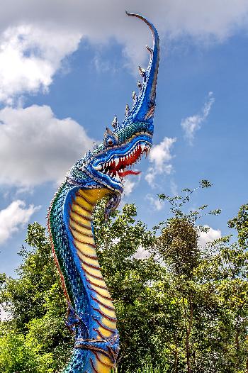 Farbenfrohe Nagas von Gerhard Veer Bild 6 -  - mit freundlicher Genehmigung von Veer 